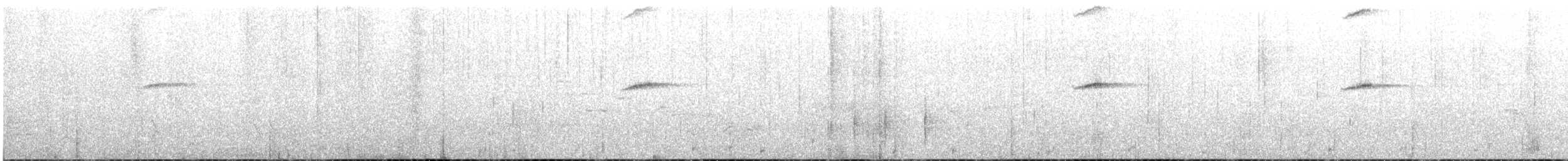 White-tailed Robin - ML216719681