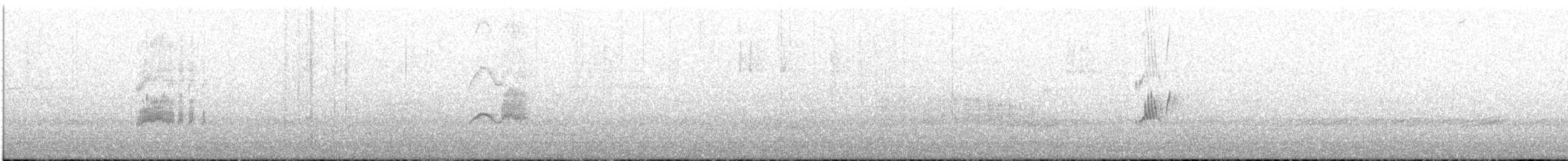 Светлобрюхий фиби - ML216723611
