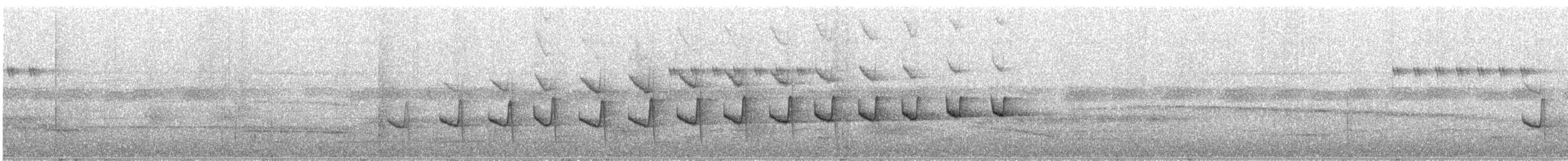 Silberameisenschlüpfer - ML216725031