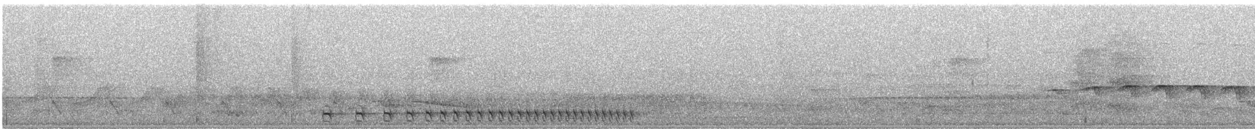 Tapajósameisenwürger - ML216727841