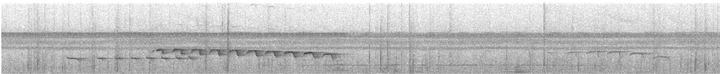 Schmalbrauen-Ameisenschnäpper - ML216729831