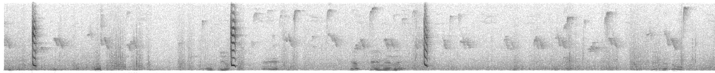 Колібрі-інка строкатокрилий - ML216735541