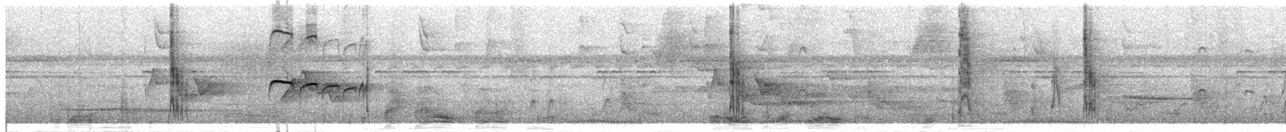 Тиран-карлик буроголовий - ML216742311