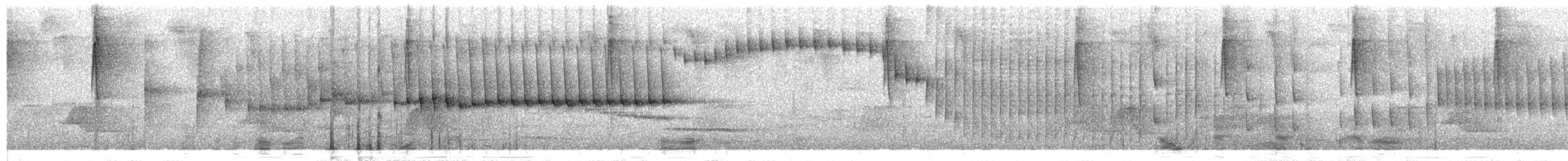 Pseudocolapte de Boissonneau - ML216790441