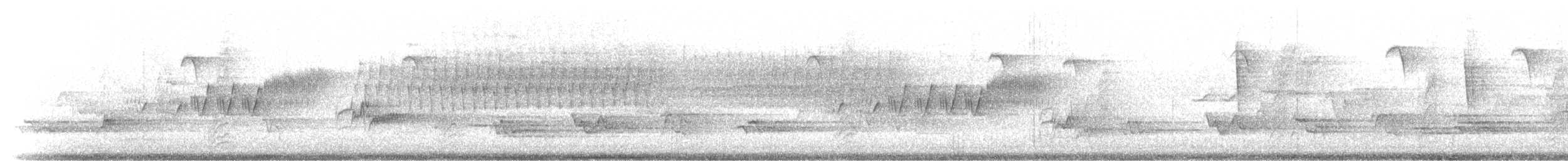 Cerulean Warbler - ML216847
