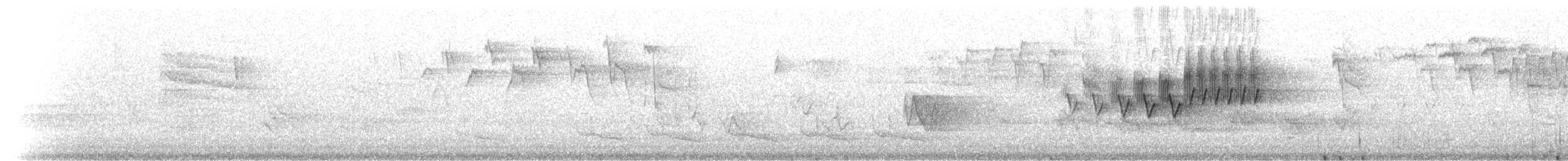 Cerulean Warbler - ML216850