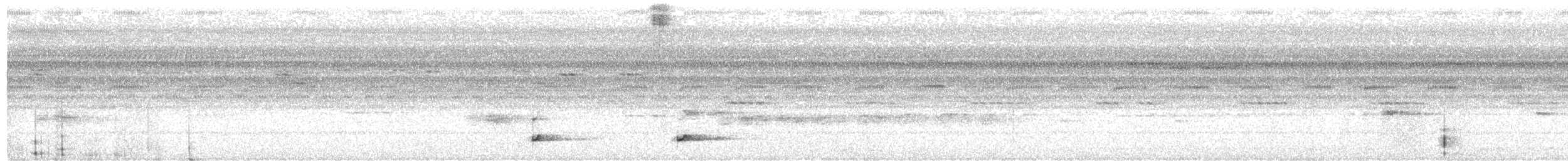 Bändernachtschwalbe - ML216851541