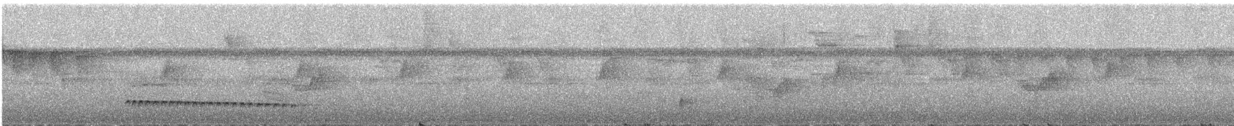 Tüpfelkronen-Ameisenvogel - ML216865481