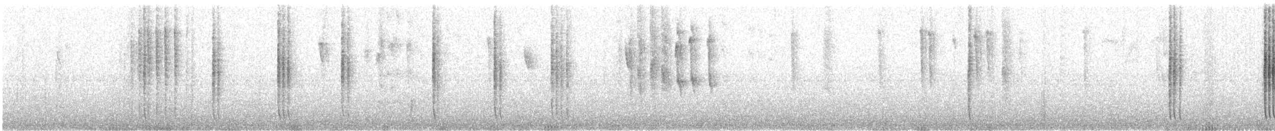 Braunschwanzamazilie [tzacatl-Gruppe] - ML216877051