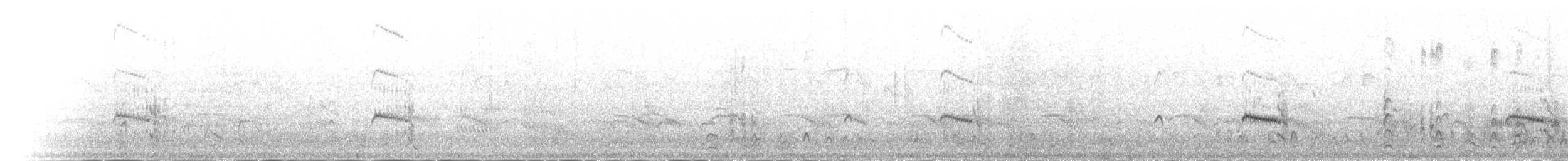 Wellenläufer (leucorhoa) - ML216886