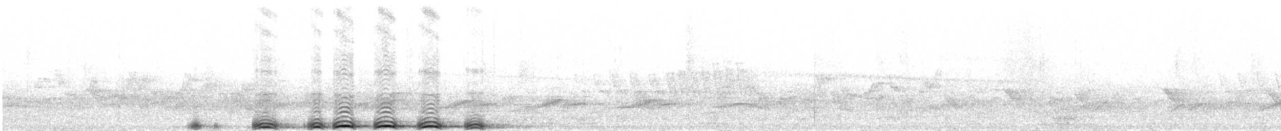 Cinereous Owl - ML21688921