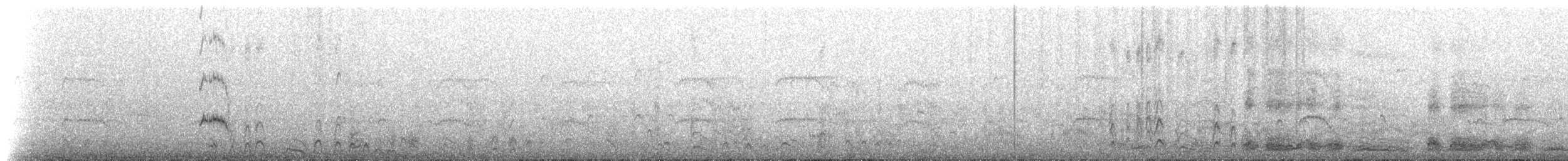 Северная качурка (leucorhoa) - ML216896