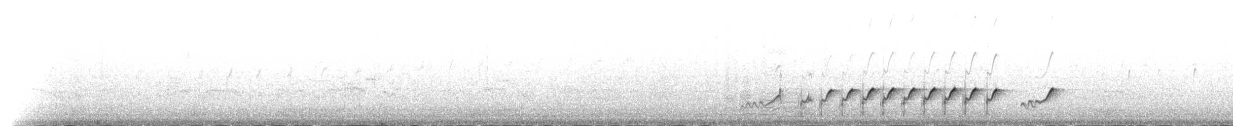 Набережник плямистий - ML216899