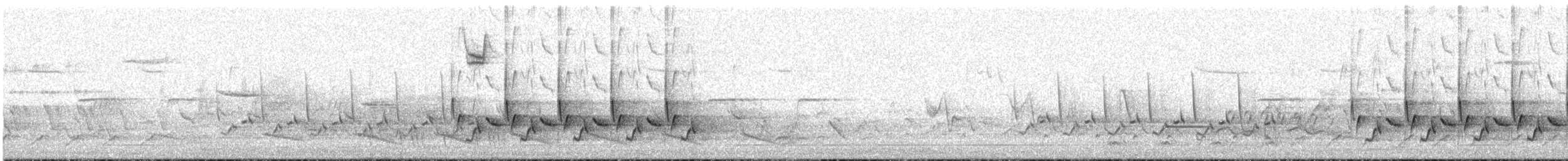 Поплітник каролінський - ML216905631