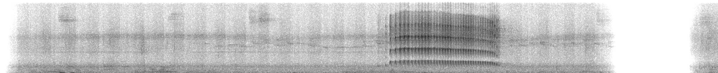 Тиран-інка буроголовий - ML216911