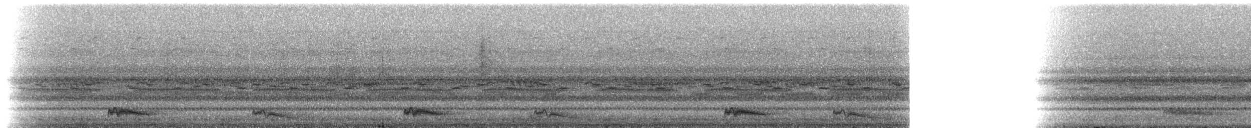 Ohrennachtschwalbe - ML216952