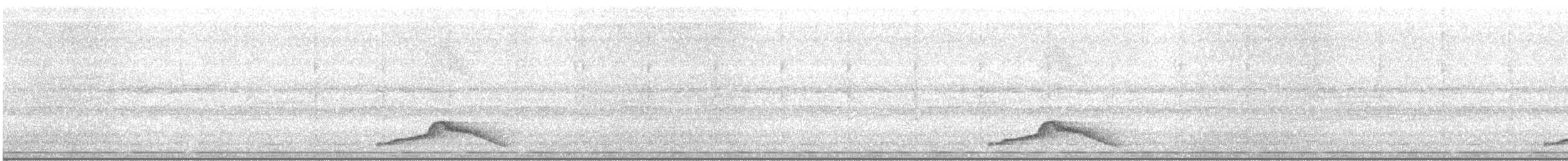 Pauraquenachtschwalbe - ML216969341