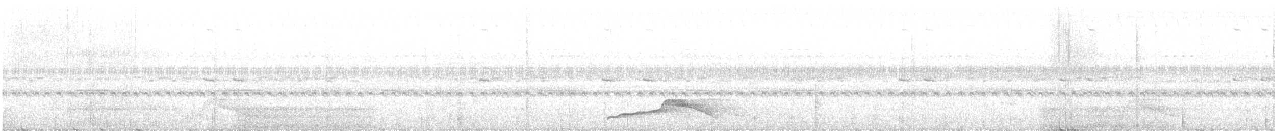 Pauraquenachtschwalbe - ML216969971