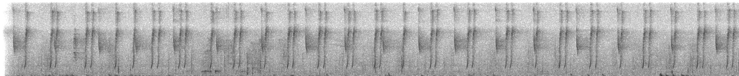 Ormanperisi - ML216990