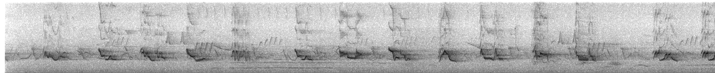 Schwarzschnabeldrossel - ML216998511