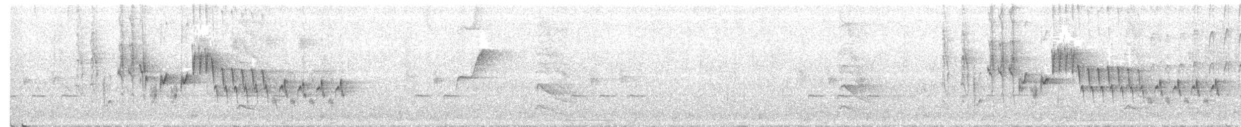 Northern House Wren - ML217015971