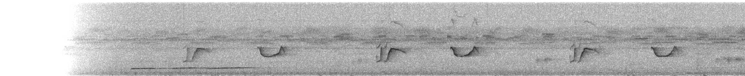Тиранчик-короткодзьоб амазонійський - ML217032491
