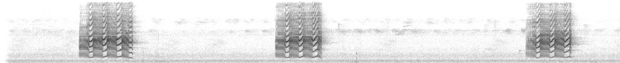 Starkschnabel-Maskentyrann (pitangua) - ML217036