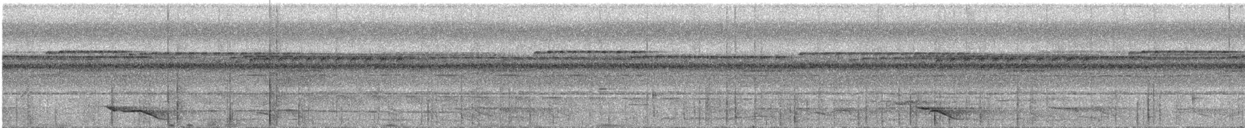 Great Eared-Nightjar - ML217101181