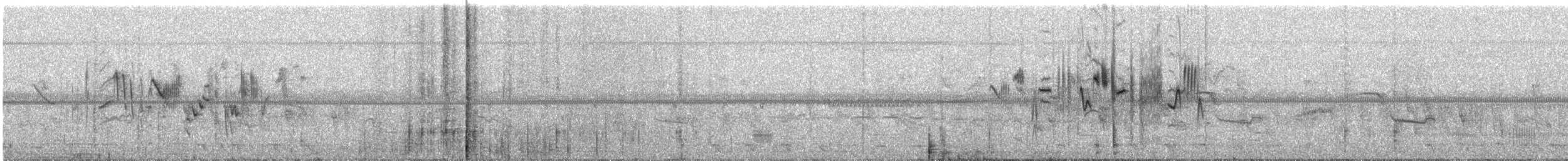 Африканский черноголовый чекан (sibilla) - ML217105601