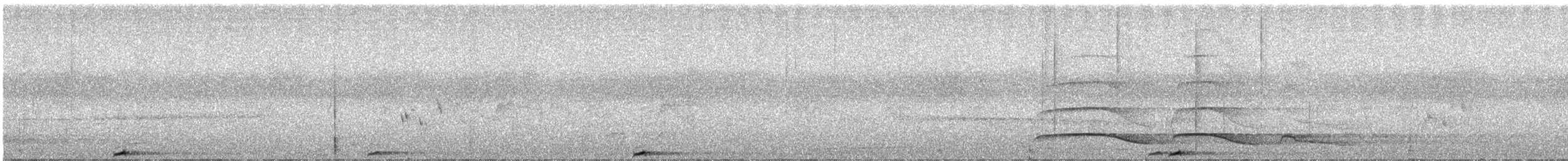 Підкіпка білогорла - ML217105621