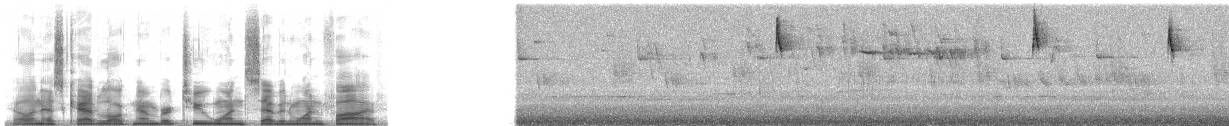 Safran Başlı Tangara - ML21715