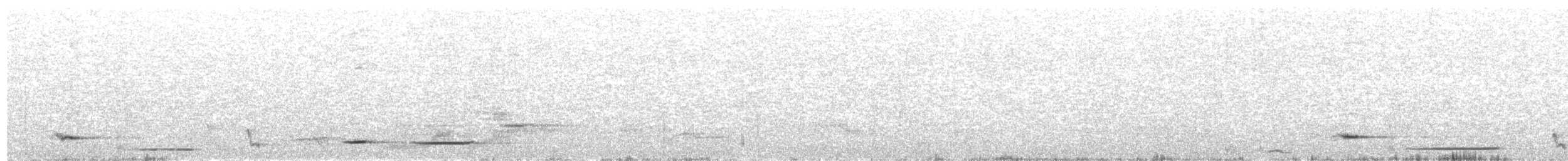 Сереброспинная флейтовая птица - ML217161651