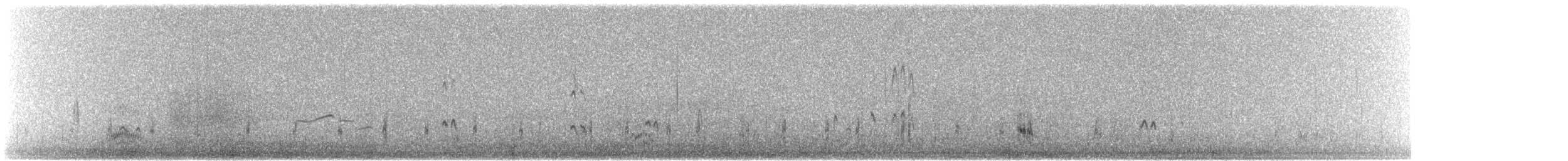 Greater Sand-Plover - ML217168241