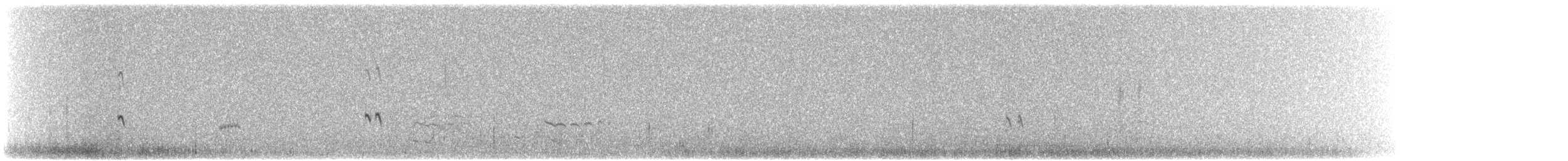 Greater Sand-Plover - ML217168251