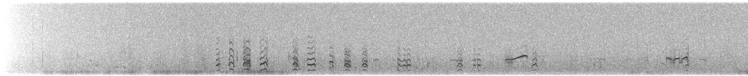 Bar-tailed Godwit - ML217169771