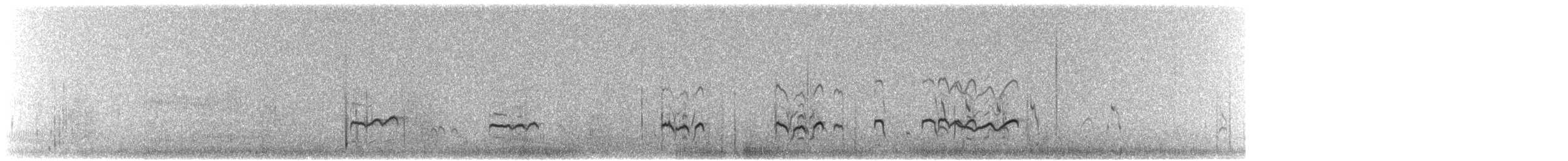 Gray-tailed Tattler - ML217169791