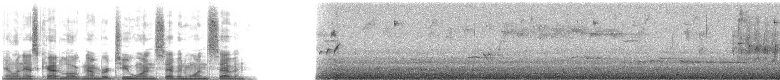 Russet-crowned Warbler - ML21717