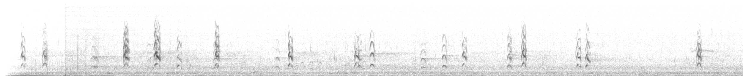 Aplomado Falcon - ML217170