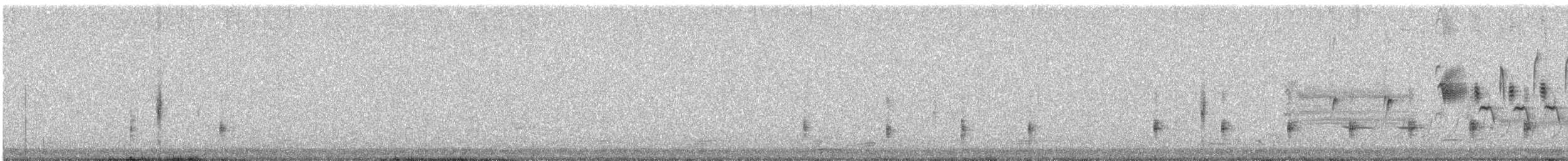 Virginia Rail - ML217188741