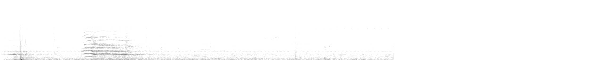Indian Peafowl - ML217200301