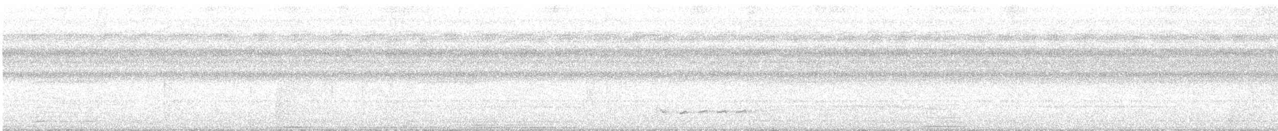 Shining Flycatcher - ML217202301