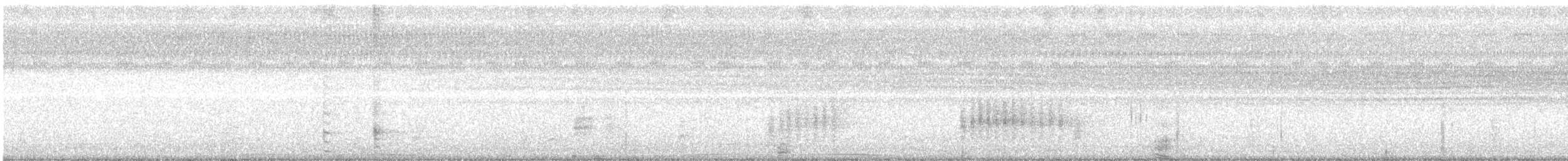 Halmahera Cuckooshrike - ML217202961