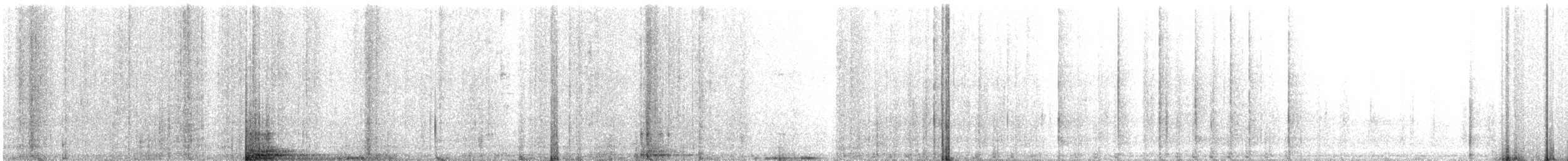 黑林鴿 - ML21722061