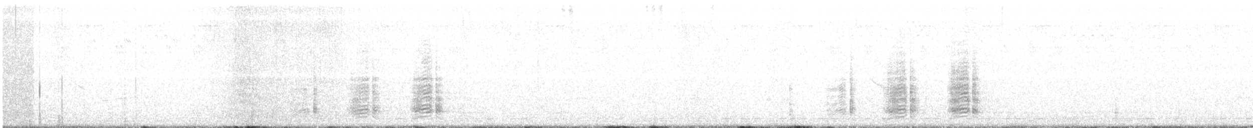 Белобрюхий корхан - ML217232801