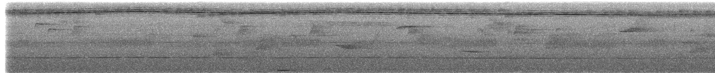 Phapitréron améthyste - ML217238