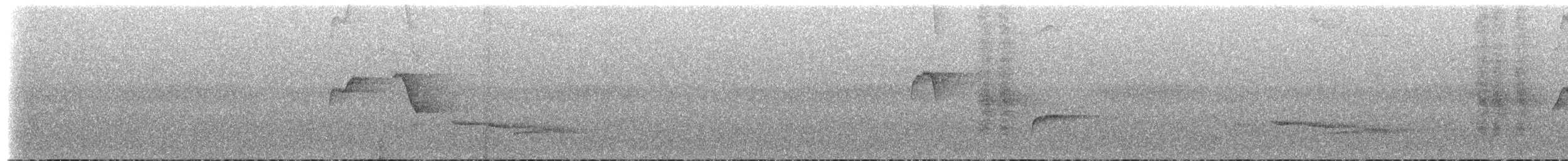 Short-tailed Drongo - ML217241