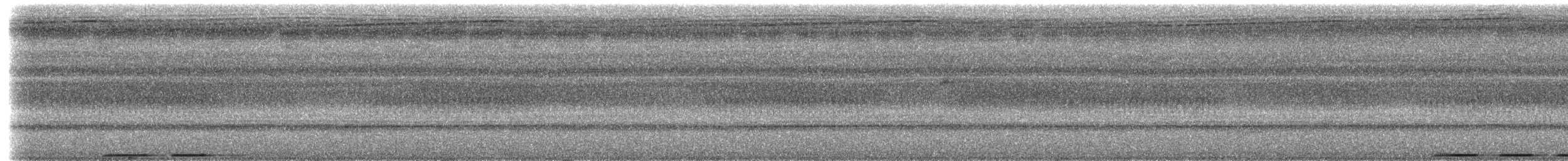 holub ametystový - ML217242
