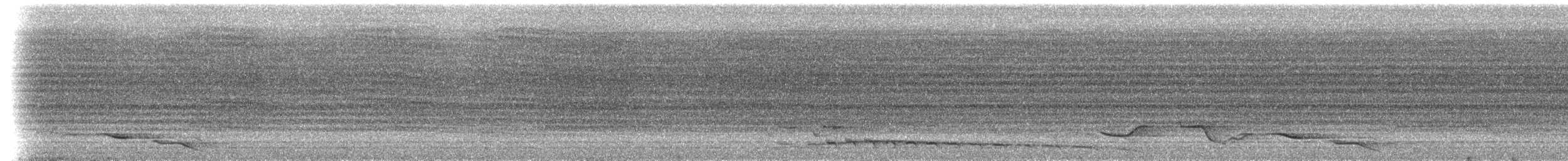 Kobaltfeenvogel - ML217260