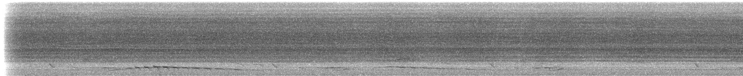 Philippine Trogon - ML217261