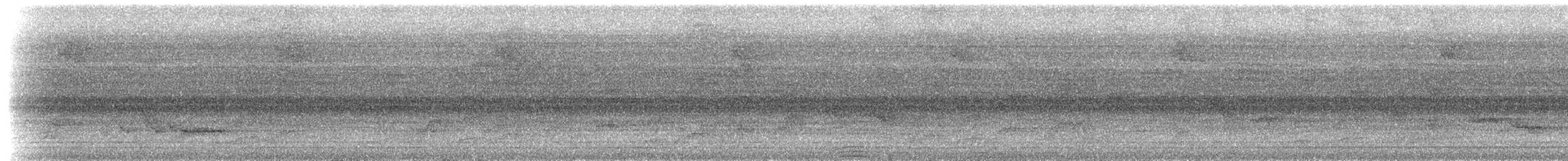 Luzon Hornbill - ML217264